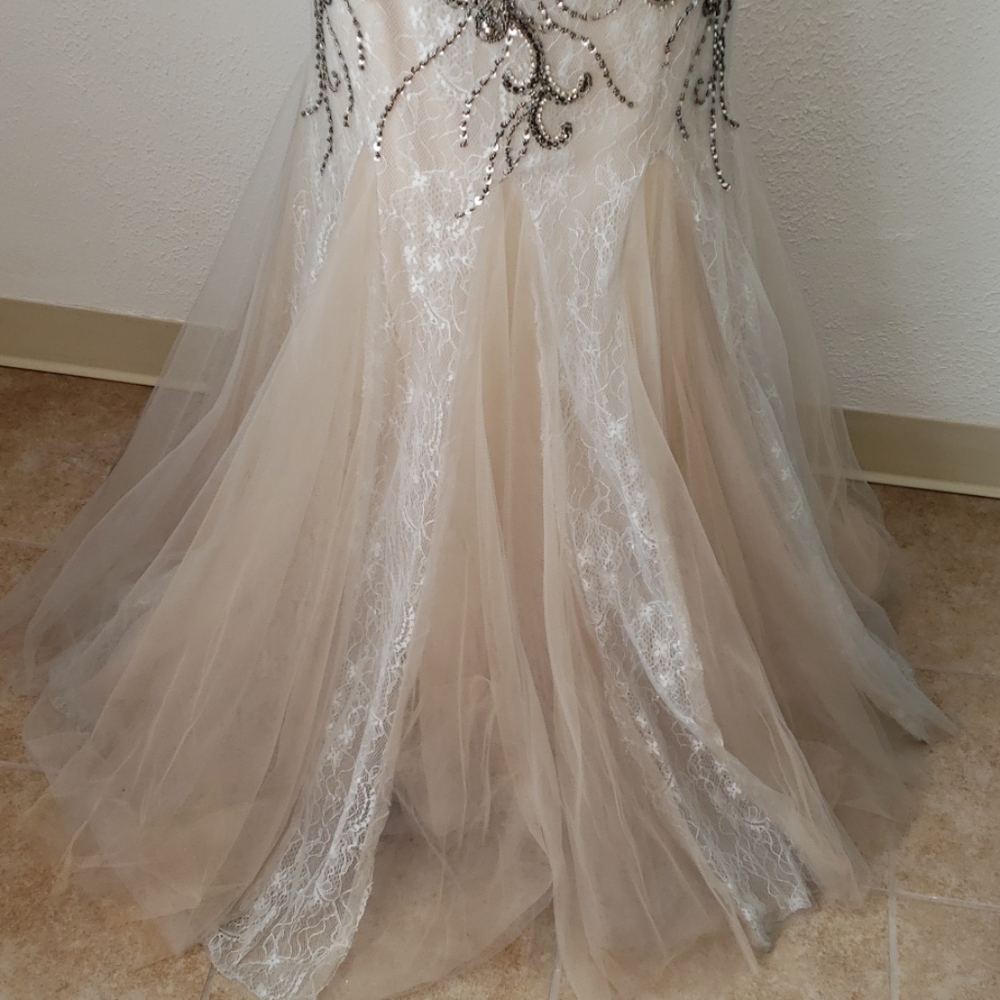 👀Champagne & Gray Bead Trumpet Gown - Picture 3 of 8